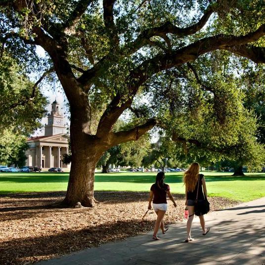 Image card - Students walking on campus